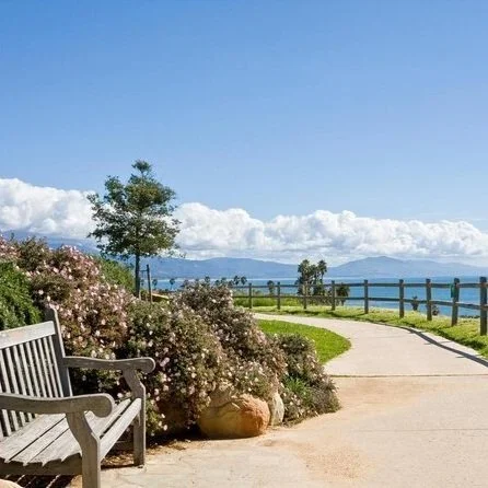 San Francisco Bay Area landscape near Opus 1 Music Studio